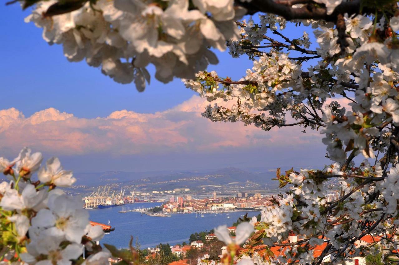 Ferienwohnung Razgled/The View Koper Exterior foto